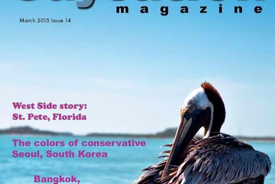 cover of gaycation magazine with a pelican on the water