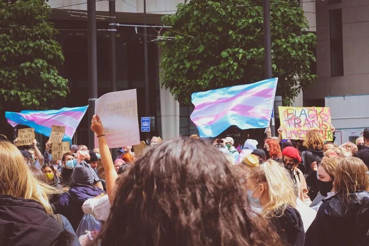Crowd holding Transgender Flags