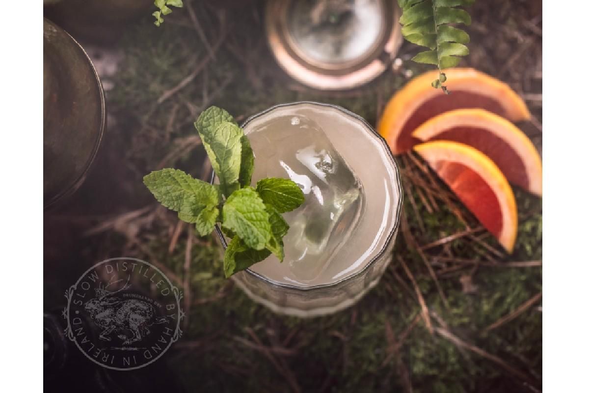 top view of a curious jackalope cocktail garnished with a mint sprig sitting next to sliced grapefruit.