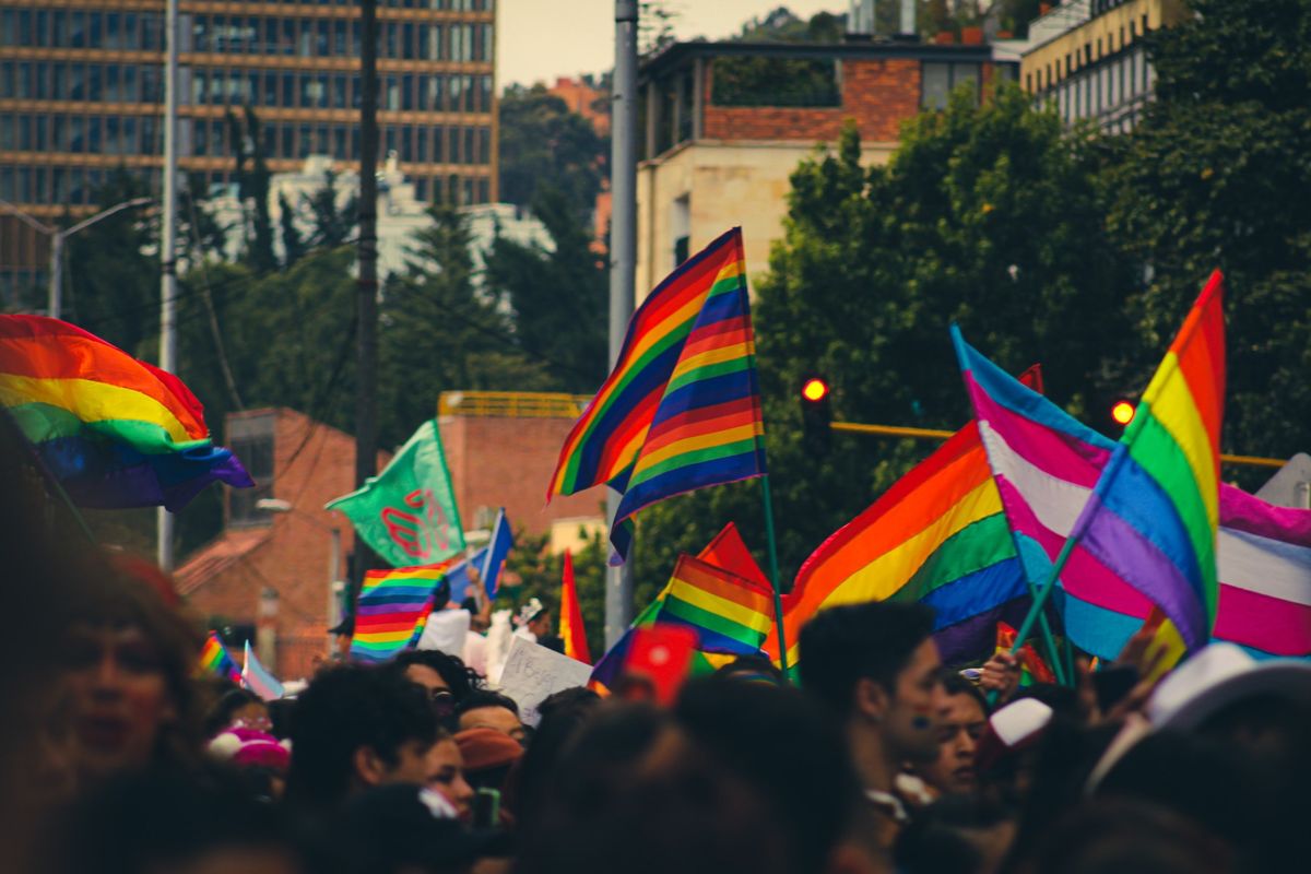 group of people holding rainbow flags.