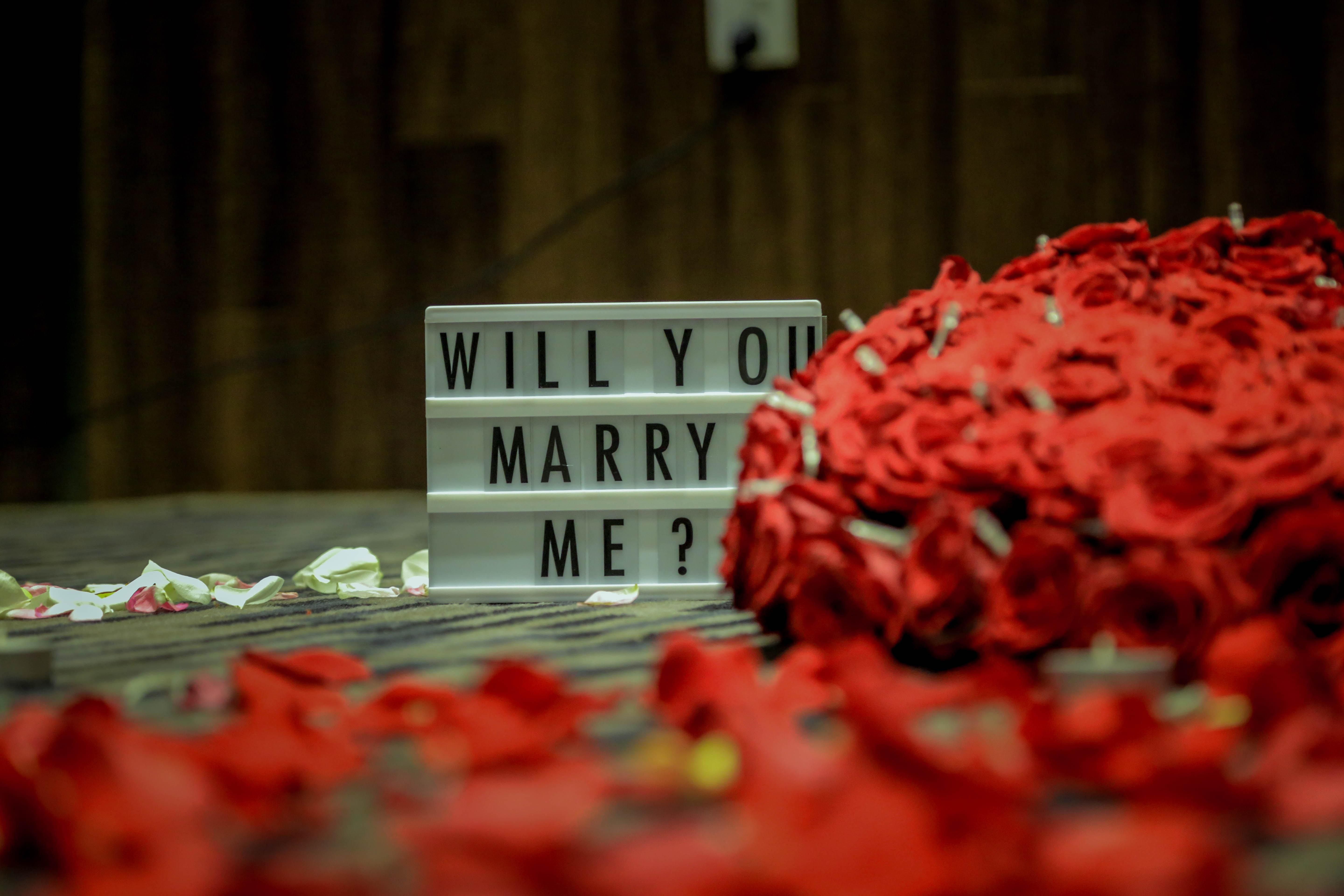 red roses and a will you marry me sign
