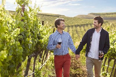 two men in a vineyard holding hands and smiling at each other.