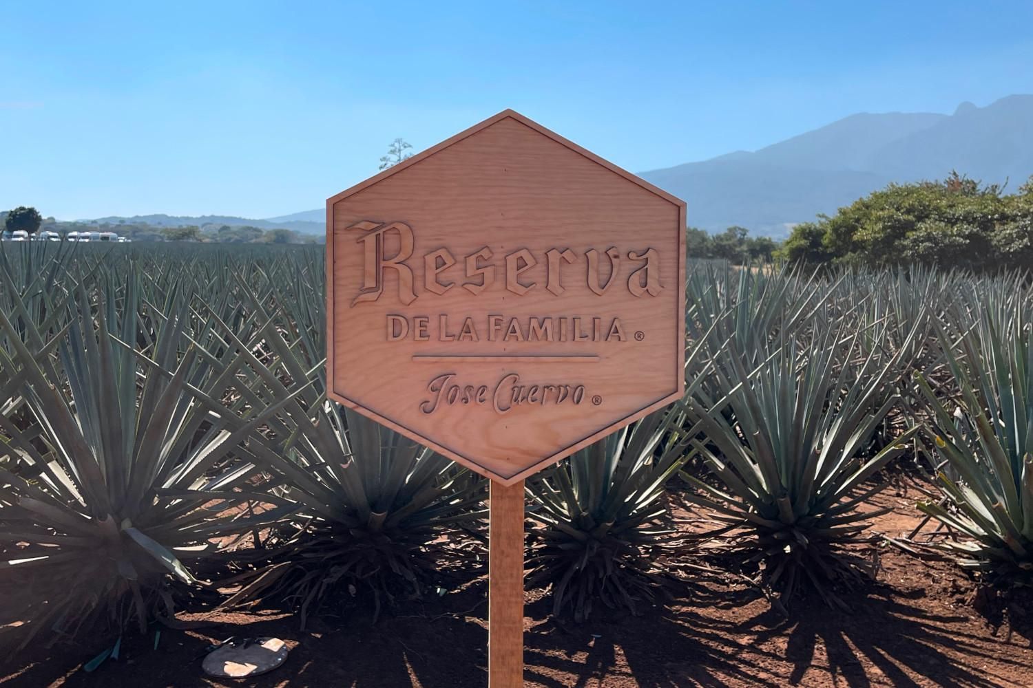 José Cuervo sign in front of agave plants and mountains in the background.